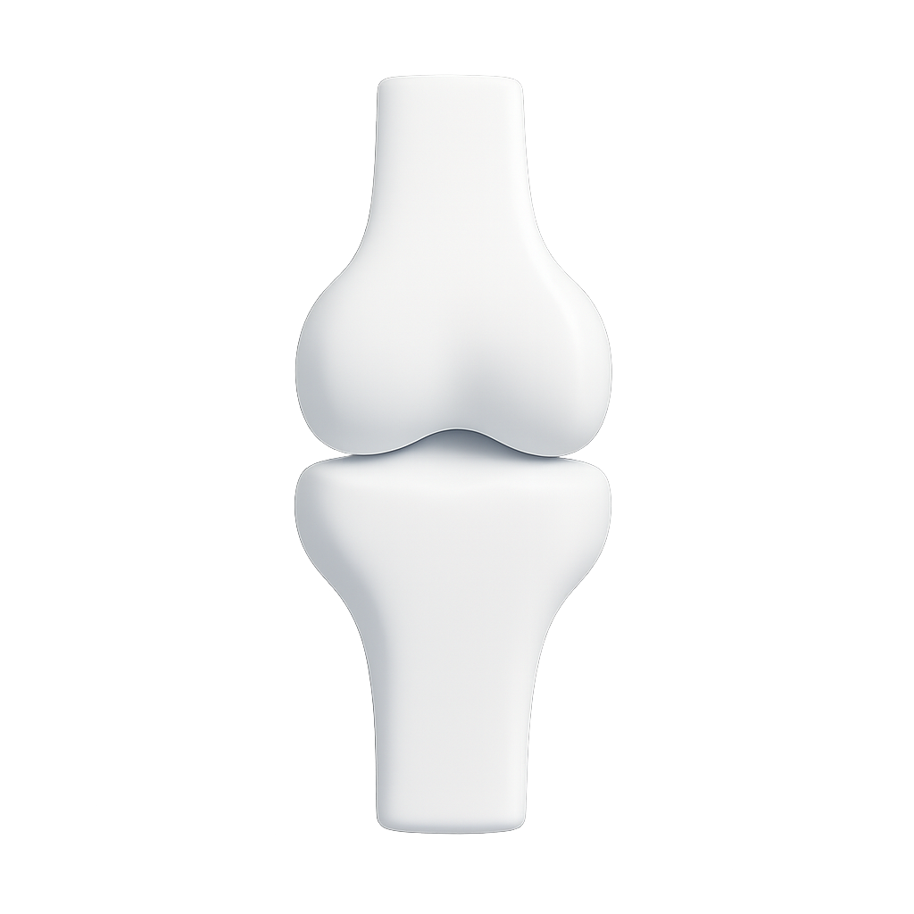 RheumEd joint icon